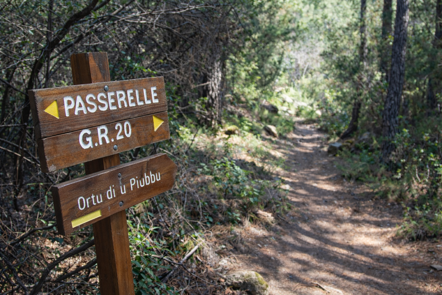 GR20 mountain hiking